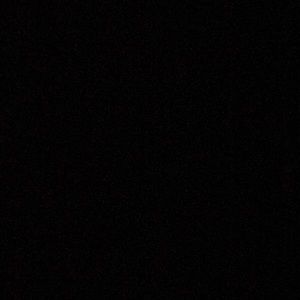 Meet your Posher, Angelina